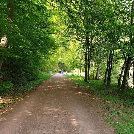 Ferienwohnung Am Saarweg Merzig Eksteriør billede